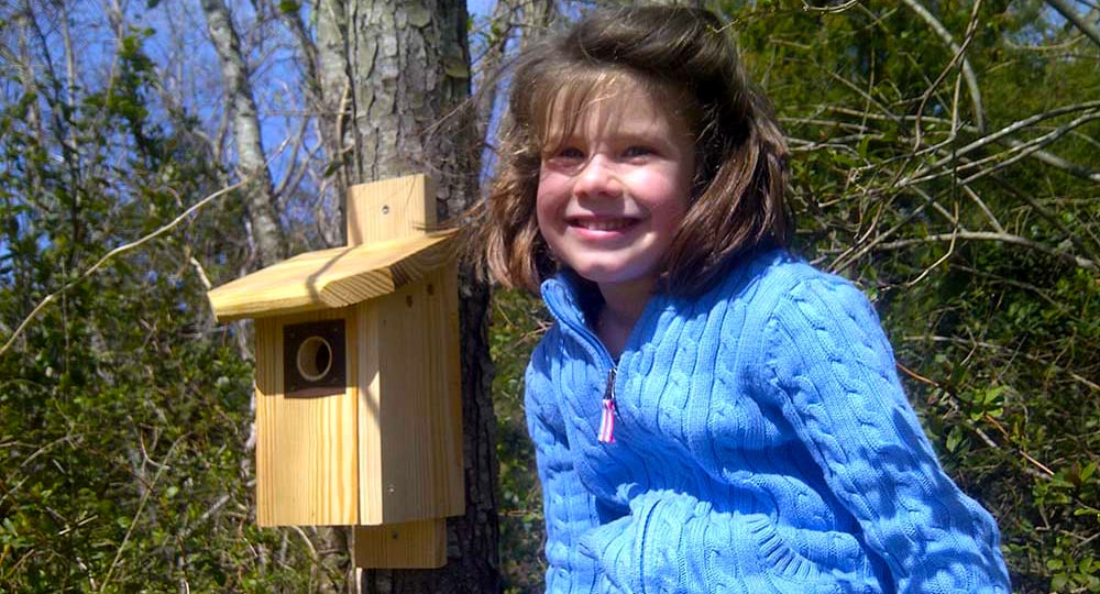 Lydia and Blue Bird Boxes